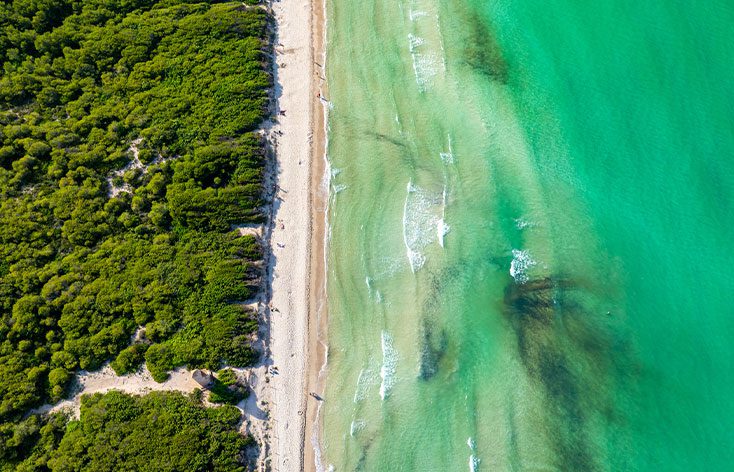 Alcudia & Playa du Muro