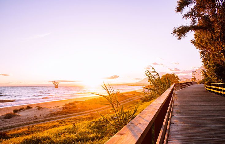 Marbella & Puerto Banus