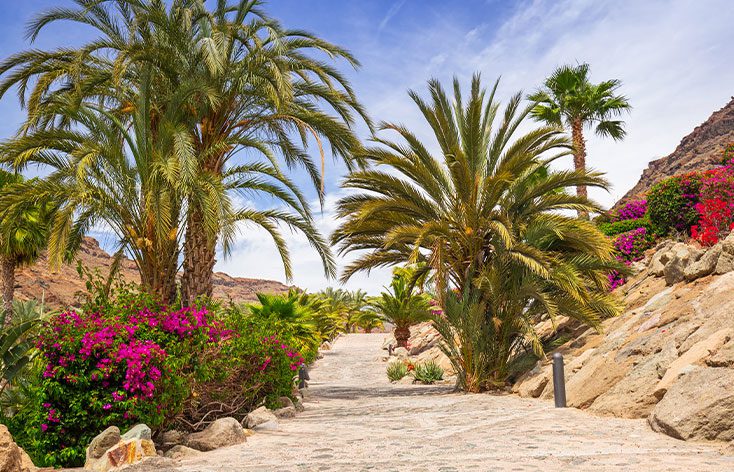 Playa de Puerto Rico