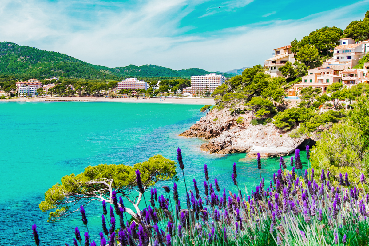 purple spring flowers against a turquoise sea and sandy beach