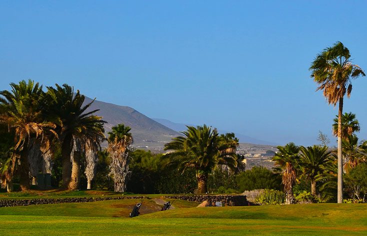 golf course on the golf del sur, with many palm trees and a mountain backdrop