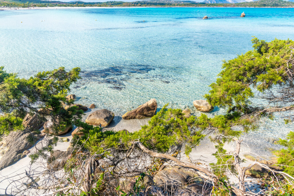Rocks and greenery along the shoreline in Lu Impostu beach